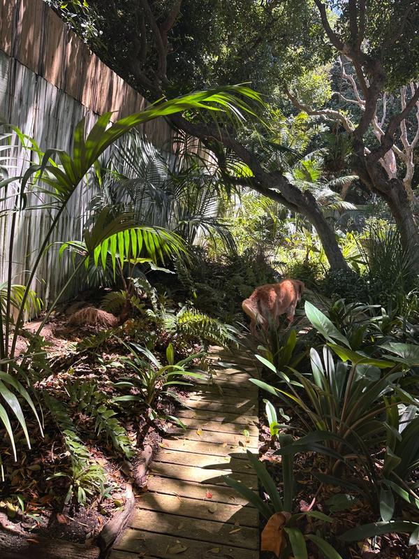 To Let 0 Bedroom Property for Rent in Chapman